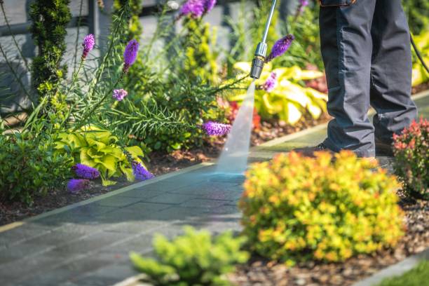 Best Restaurant Pressure Washing  in Hale Center, TX